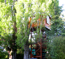 treehouse and tree cabin