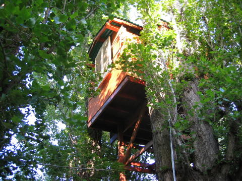 up treehouse
