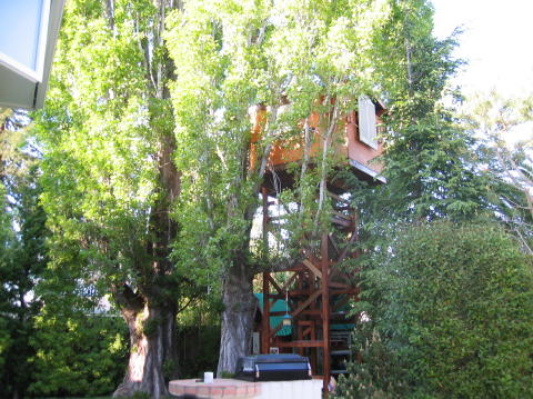 treehouse